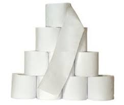 2-PLY TOILET TISSUE 420 SHEET 48/CS